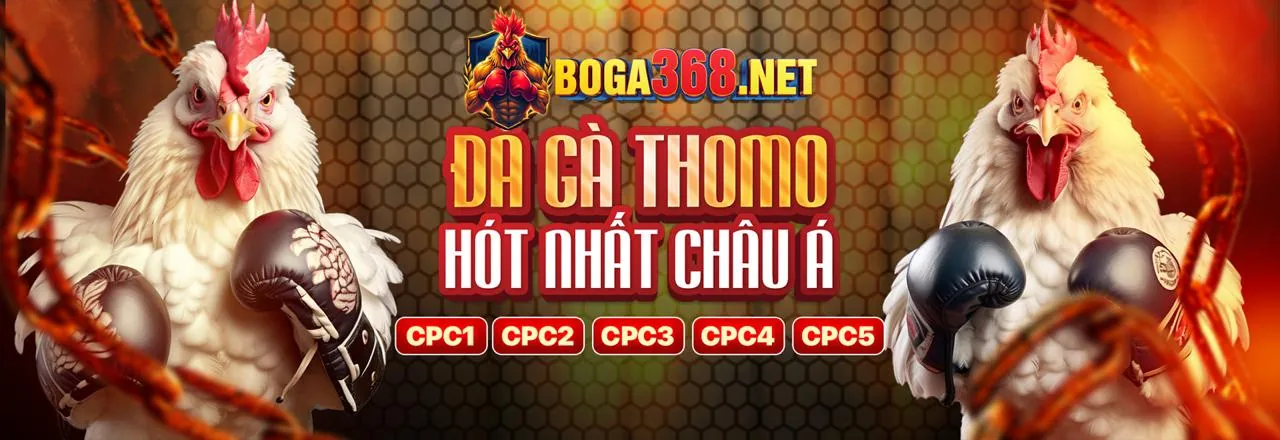 Đá Gà Trực Tiếp Win55 Chính Thức 2026